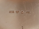 12462g_8dd86677896d247_sm.jpeg