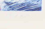 12599c_sm.jpeg