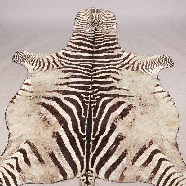 ZEBRASKINN