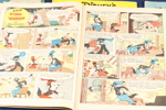 12976f_8dda409bc30f557_sm.jpeg