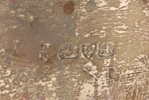 13237d_8ddb4af9a4e4807_sm.jpeg