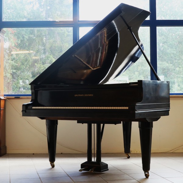 FLYGEL, Grotrian Steinweg