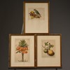 GEORG FLEGEL, 3 st grafiska blad