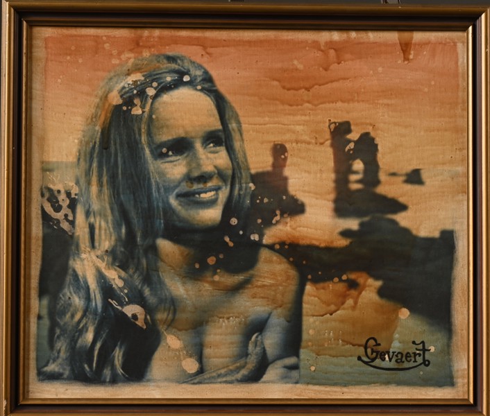 GEVAERTFILM, reklamaffisch,  Liv Ullman