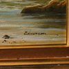 EDMONSON, kustlandskap