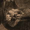 Rembrandt van Rijn (1606-1669), efter