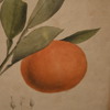 PLANSCHER, 2 st, omkring år 1900