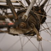 Cykel, Hermes, Nymans verkstäder, Uppsala