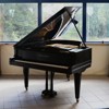 FLYGEL, Grotrian Steinweg