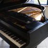FLYGEL, Grotrian Steinweg