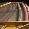 FLYGEL, Grotrian Steinweg