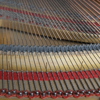 FLYGEL, Grotrian Steinweg