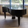 FLYGEL, Grotrian Steinweg