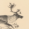 LARS PIRAK (1932-2008) "Renvaktaren"