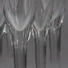 ANNA EHRNER, champagneglas, 12 st, "Line"
