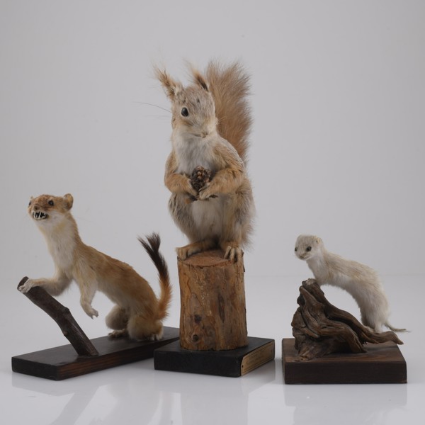 UPPSTOPPADE DJUR, 3 st