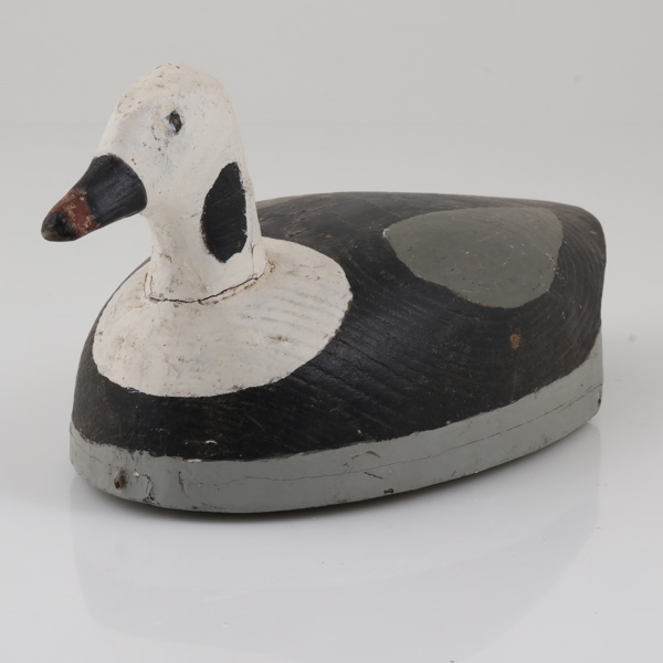 VETTE, i form av Alfågelhane i vinterdräkt