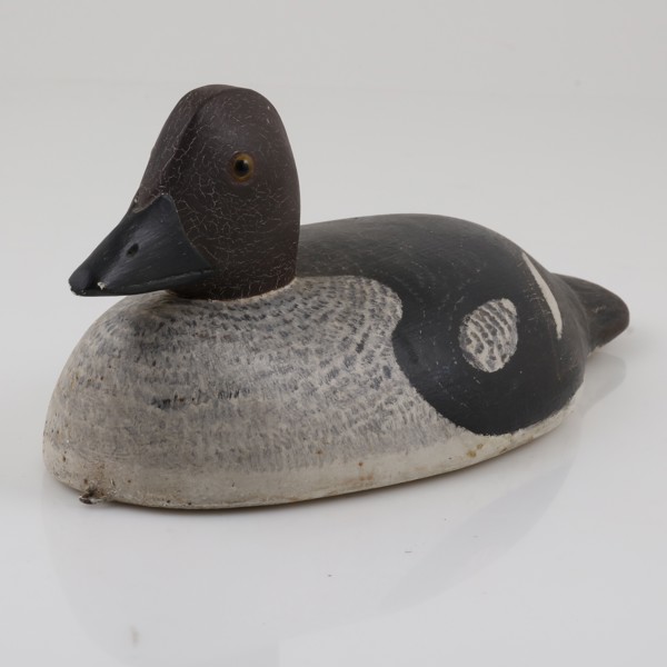 VETTE, i form av Bergand, hane