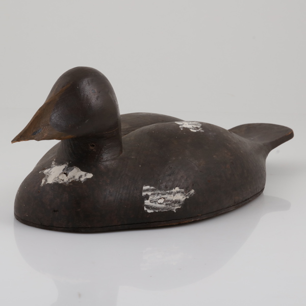 VETTE, i form av Svärta, hanfågel