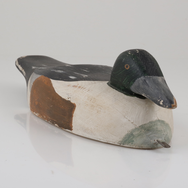 VETTE, i form av Knipa, vuxen hane