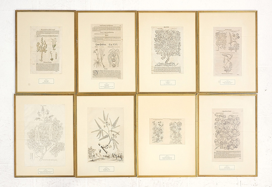 GRAVYRER/BOKBLAD, 8 st, 1500-1700-tal