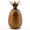 ISHINK, samtida, i form av ananas