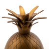 ISHINK, samtida, i form av ananas