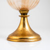 FOTOGENLAMPA, 1900-talets början
