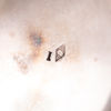 KAFFE/TESERVIS, sterlingsilver, 4 dlr