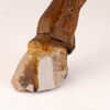 SKULPTUR, "Tang häst", Kina, 1900-tal