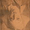 ANDERS ZORN (1860-1920), efter