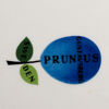 STIG LINDBERG, servisdelar, "Prunus" 30 dlr