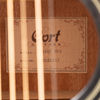 GITARR, CORP MR100F, DKS